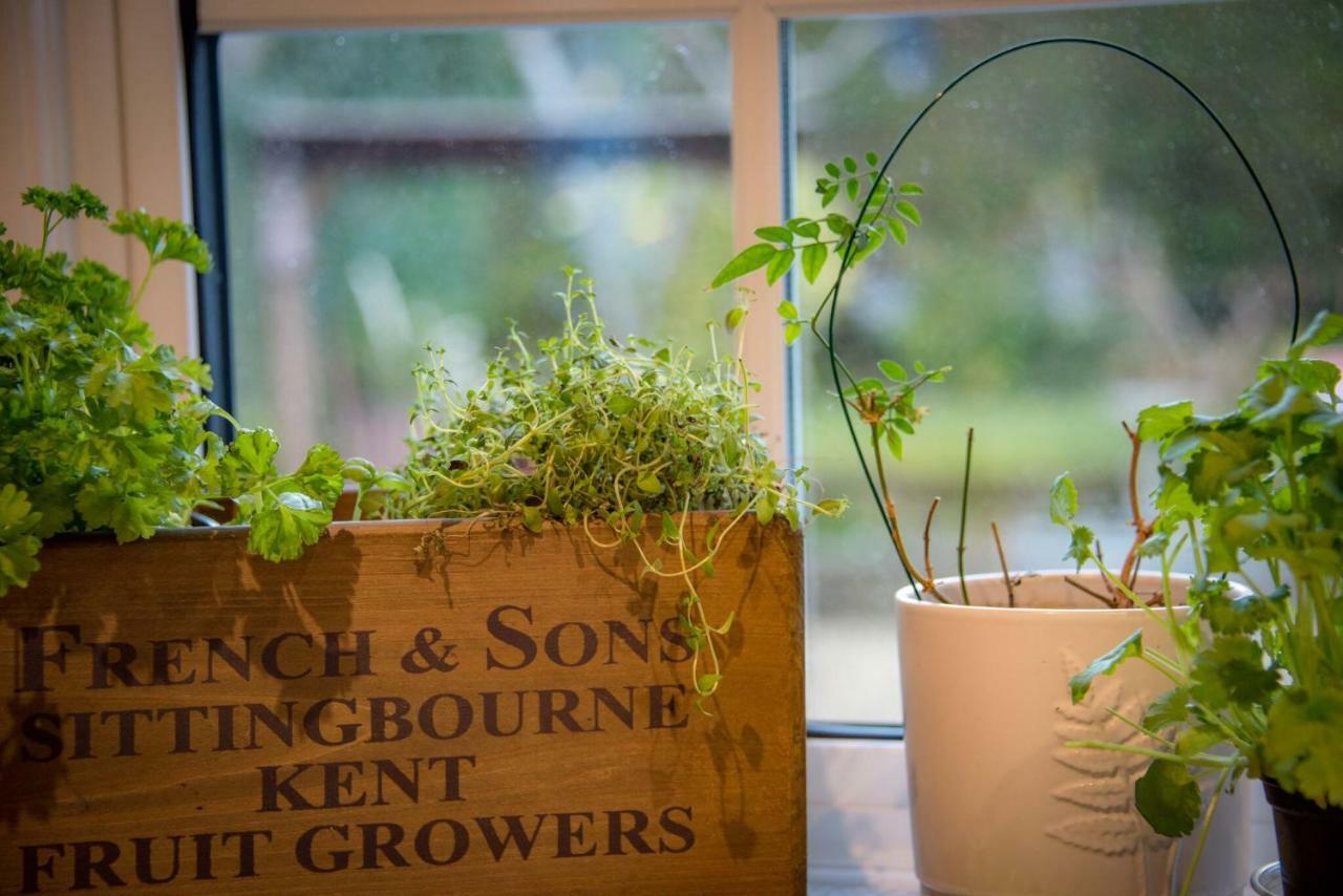 Bed and Breakfast St Leonards Farmhouse Blandford Forum Exteriér fotografie